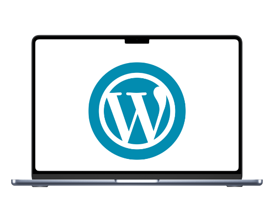 ballsydigital.com